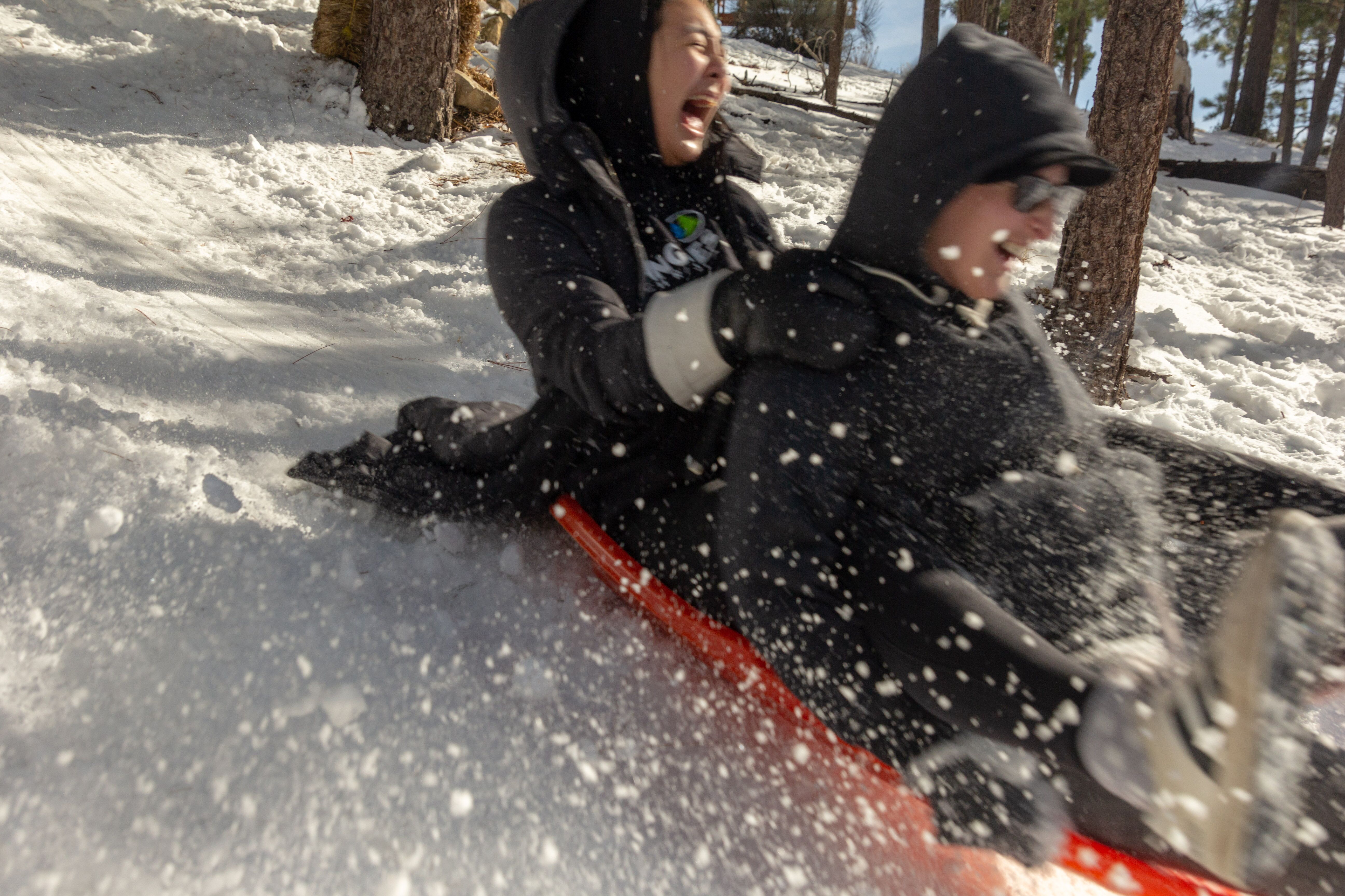 Winter Camp Sledding sledding winter camp