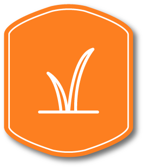 Download Botany Curriculum