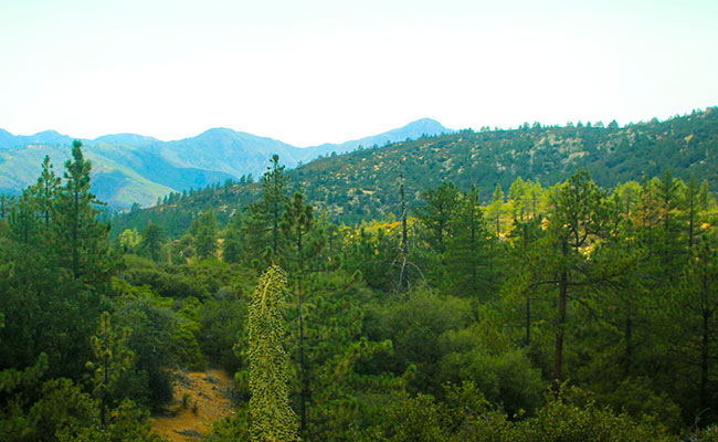 mountain landscape