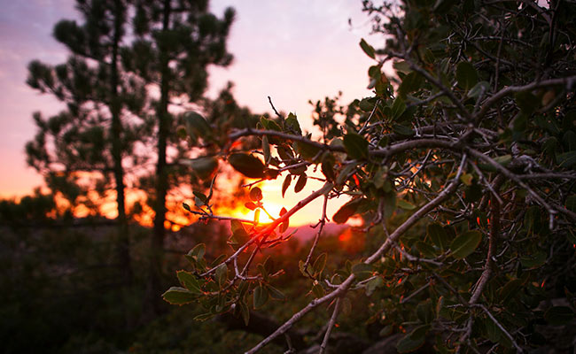 Sunset at Angeles Crest 