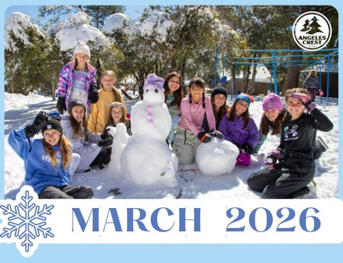 March 2026 Newsletter